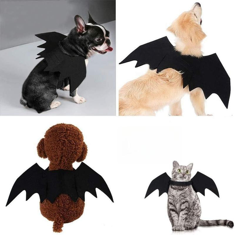 SpookyPaws Bat Wings