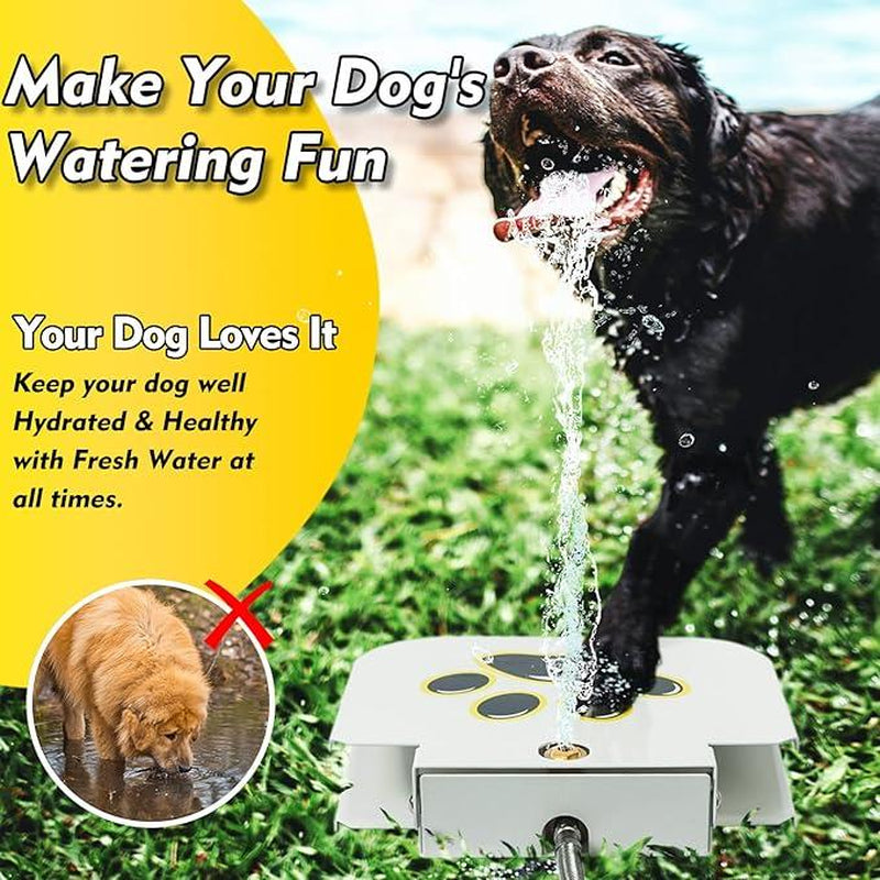 PawSplash Fountain