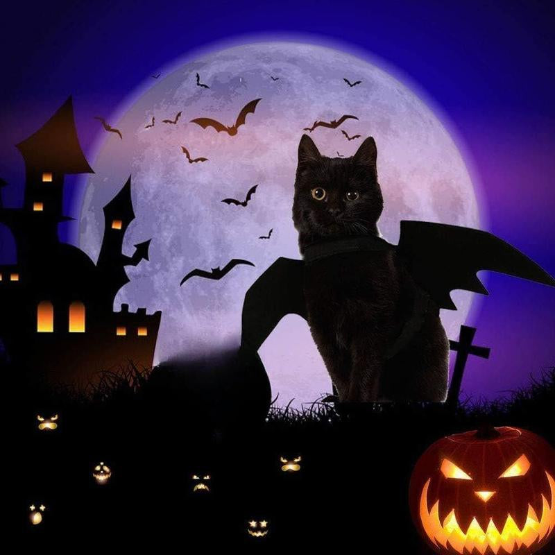 SpookyPaws Bat Wings