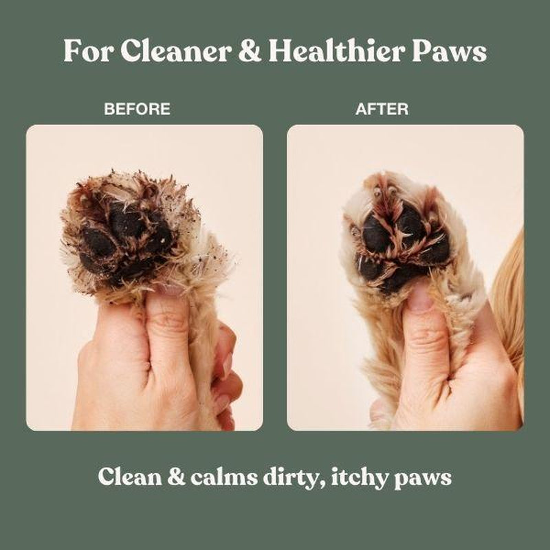 FreshPaws Cleanser
